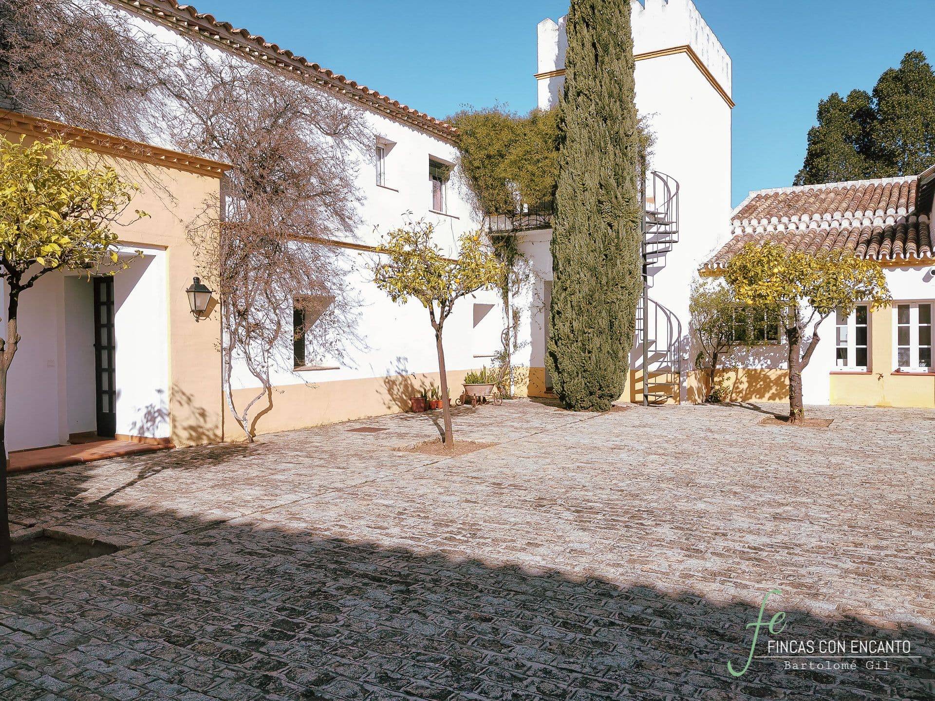 Casa del Patio IV